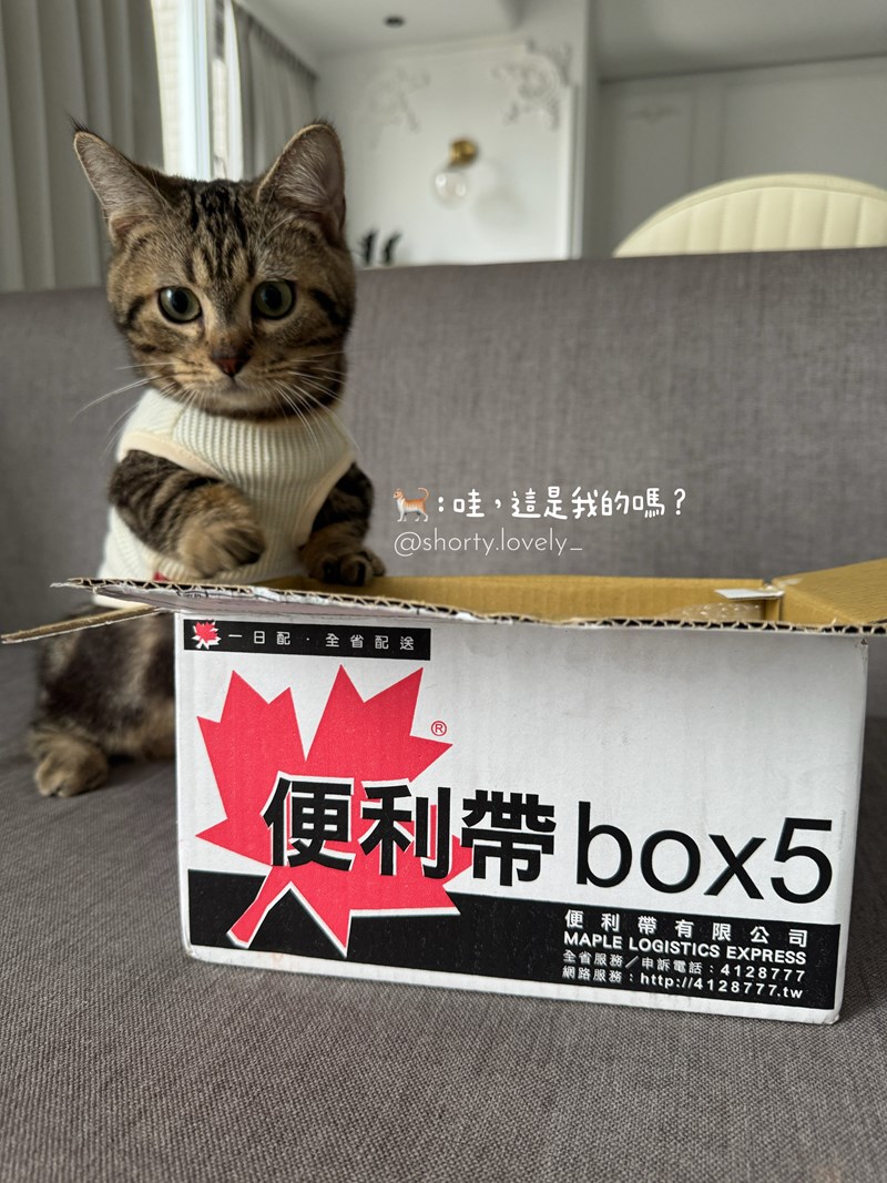 女人知己試用大隊,口碑行銷,部落客行銷,PURRFACT 波菲特貓用主食罐,主食罐,PURRFACT波菲特,貓主食罐,貓罐,PURRFACT波菲特貓用主食罐,魚肉蔓越莓主食罐,鮮嫩雞主食罐,鹿肉雞肉主食罐,牛肉鵪鶉貓主食罐,干貝蠶蛹配方,鱷魚肉白木耳配方,雞肉魚肉配方,安心鶉配方,評價,體驗,適口性佳,心得,成貓適用,高齡貓適用,質地是慕絲狀